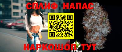дживик Камышлов