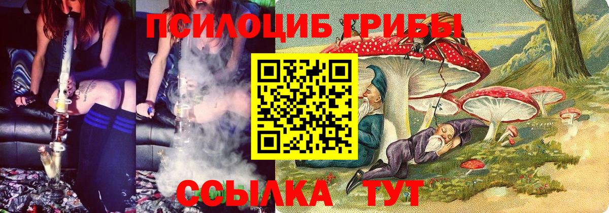Псилоцибиновые грибы мухоморы Люберцы
