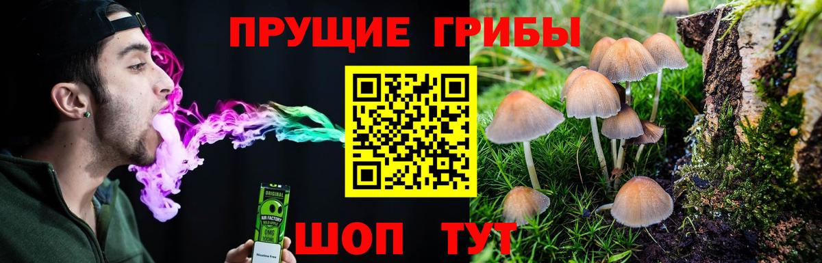Галлюциногенные грибы ЛСД  Псилоцибиновые грибы прущие грибы  Вход с VPN  Люберцы 